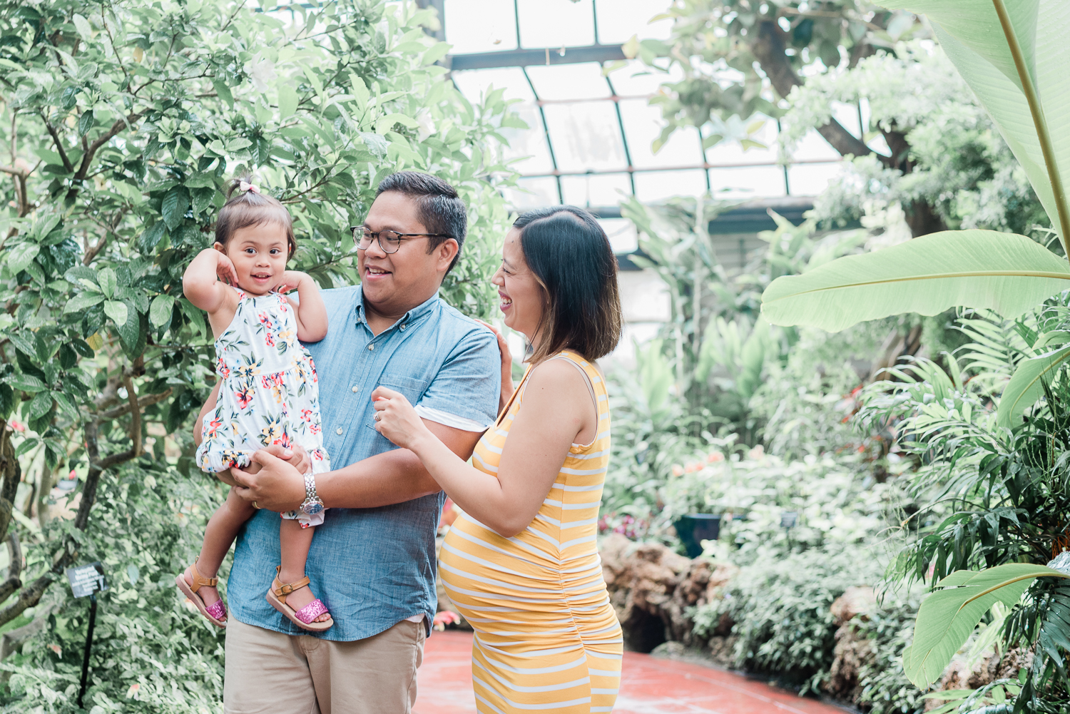 Family maternity session at Lincoln Park Conservatory