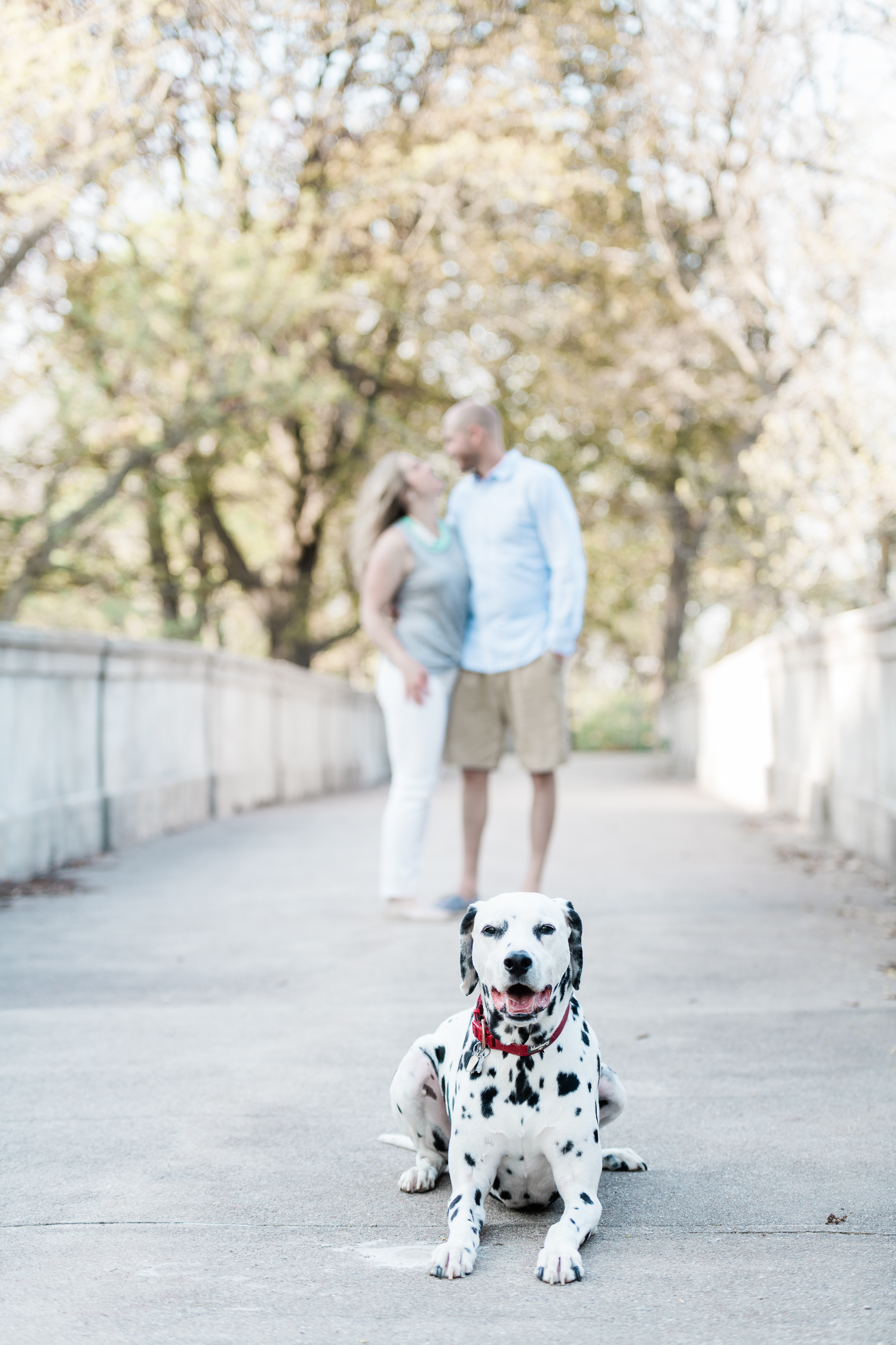 Engaged couple walks along Lake Park in Milwaukee while Dalmatian dog runs around
