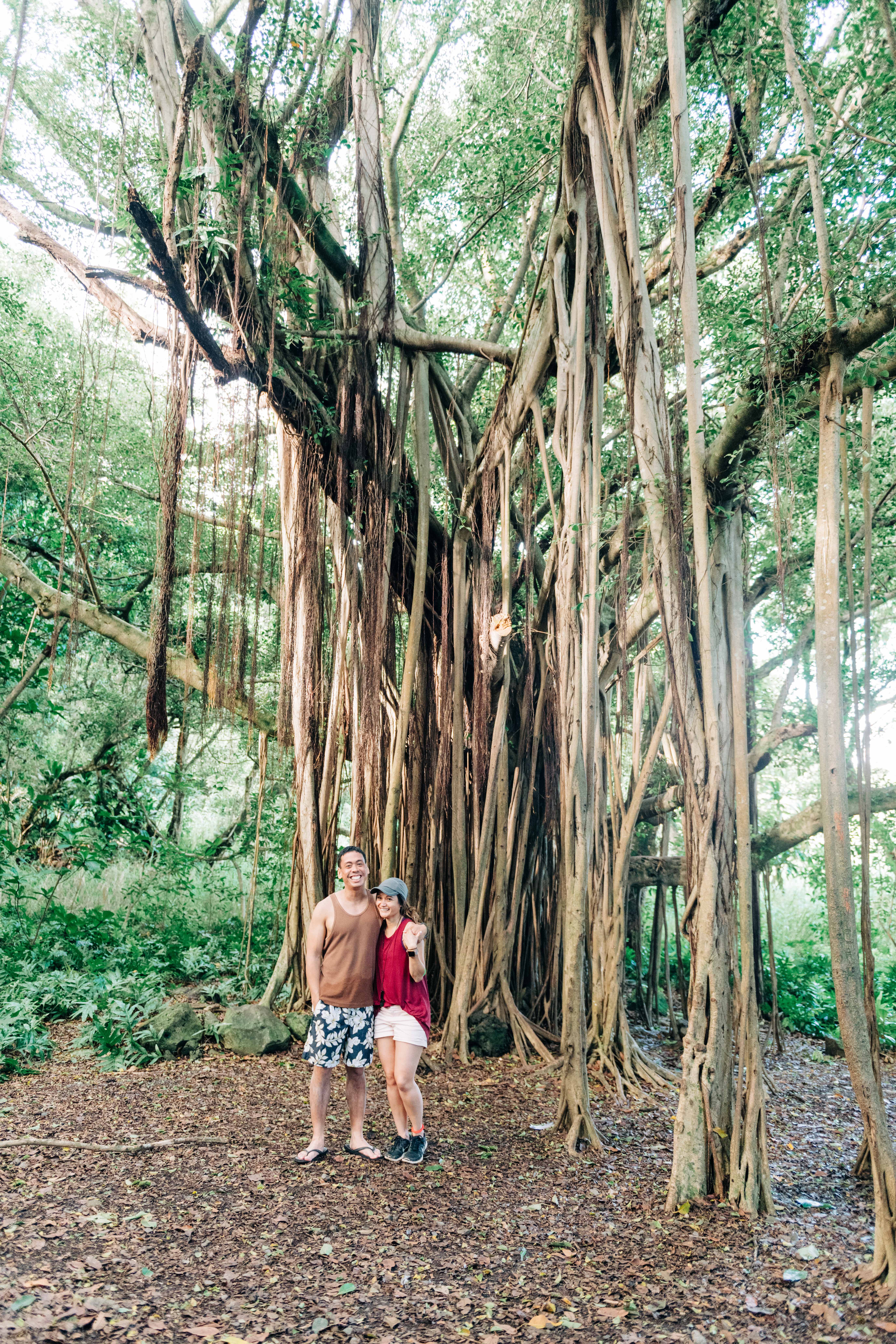 couple posing by a Banyan tree during a Maui Engagement Session